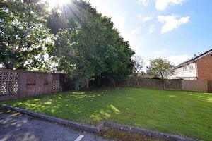 Communal Gardens- click for photo gallery